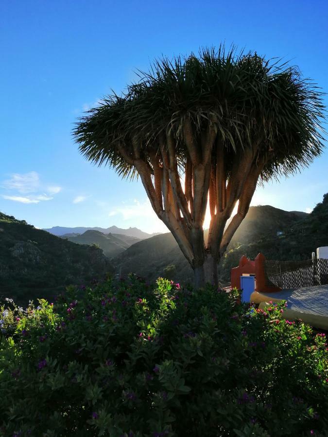 Vivelorural Casa La Cuevita, Santa Brigida 外观 照片